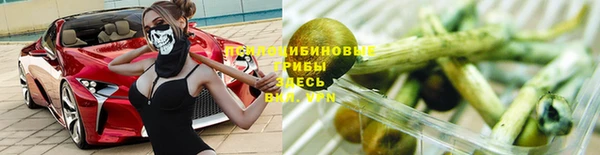 амф Беломорск
