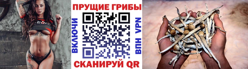 Галлюциногенные грибы Cubensis хочу Емва